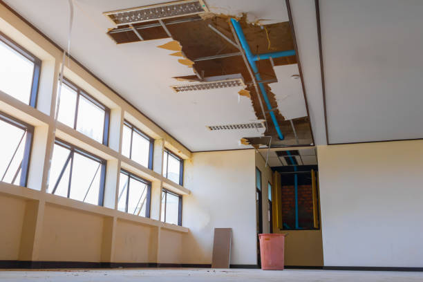 Best Local water damage restoration  in Red Lake Falls, MN