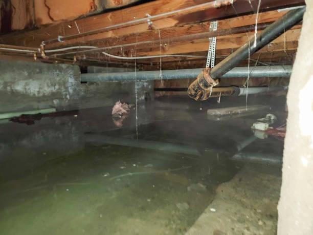 Professional Water damage restoration in Red Lake Falls, MN