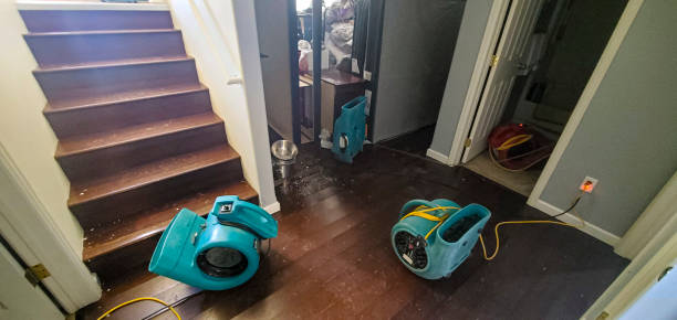 Best Sewage cleanup and water damage restoration  in Red Lake Falls, MN
