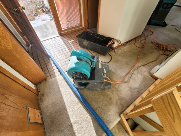 Best Professional water damage repair  in Red Lake Falls, MN