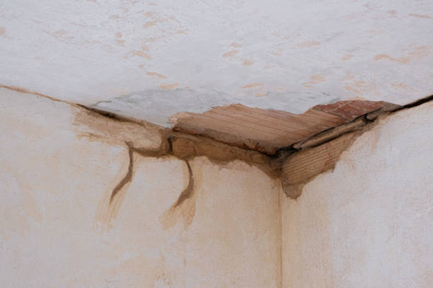 Best Water damage restoration near me  in Red Lake Falls, MN