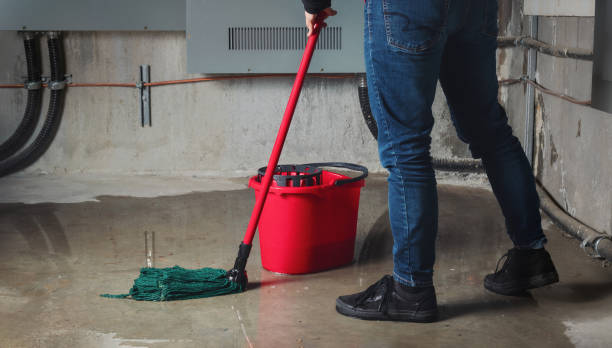 Best Fire Damage Restoration  in Red Lake Falls, MN