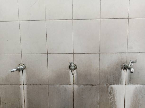 Best Flooded house restoration  in Red Lake Falls, MN