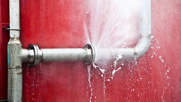 Best Fire Damage Restoration  in Red Lake Falls, MN