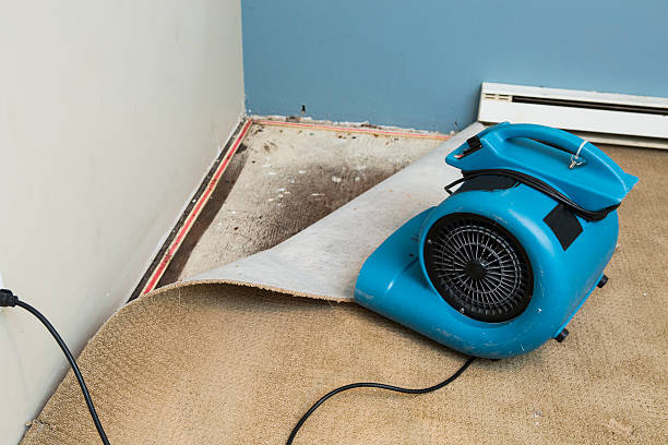Best Emergency water damage restoration  in Red Lake Falls, MN